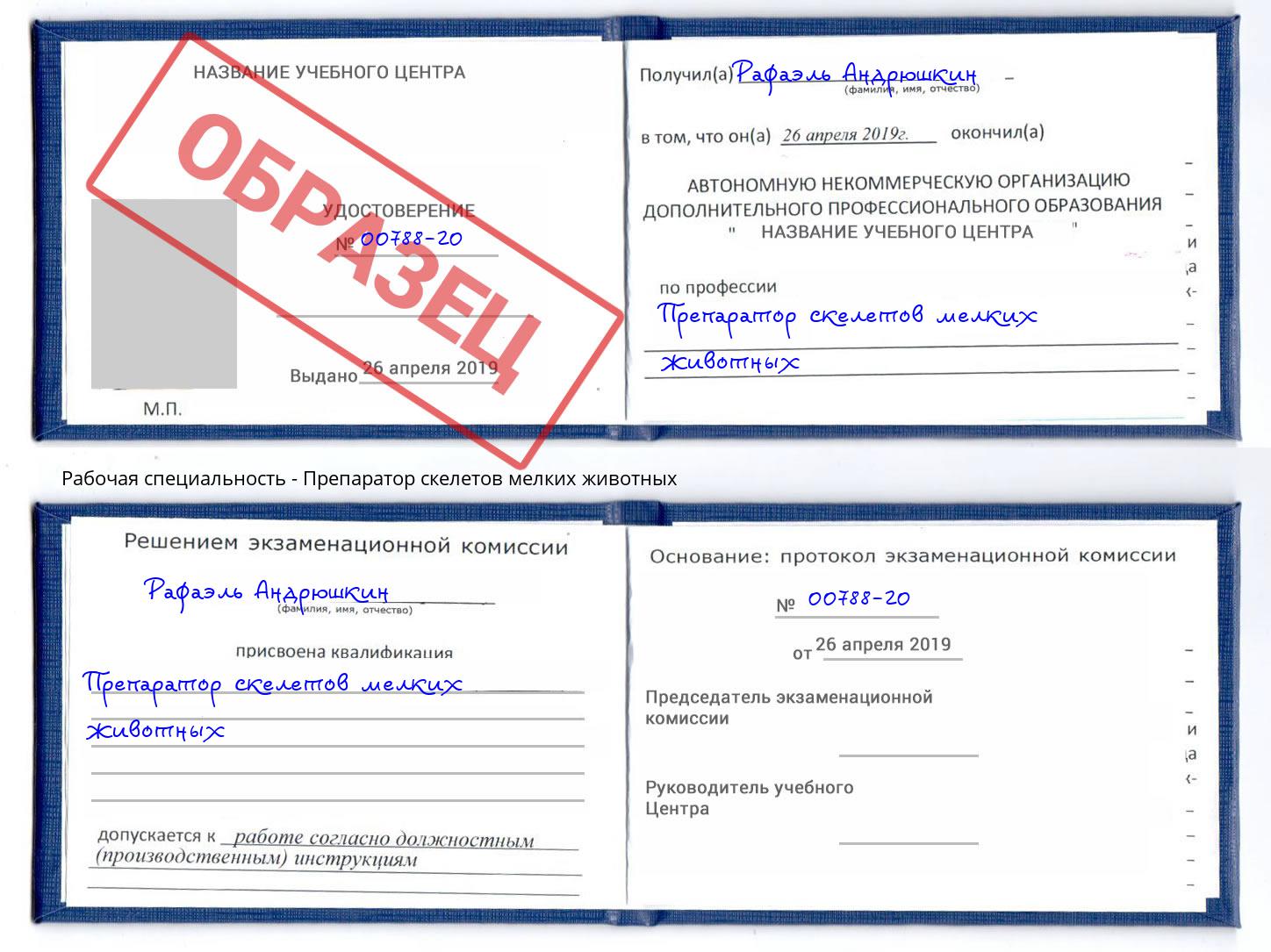 Препаратор скелетов мелких животных Нижний Тагил