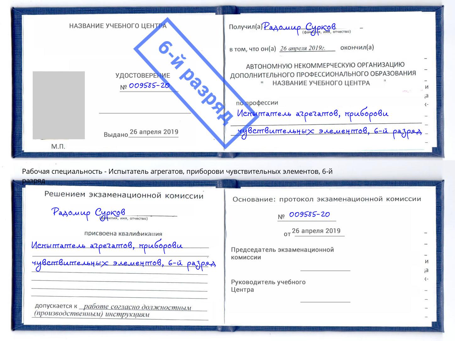 корочка 6-й разряд Испытатель агрегатов, приборови чувствительных элементов Нижний Тагил