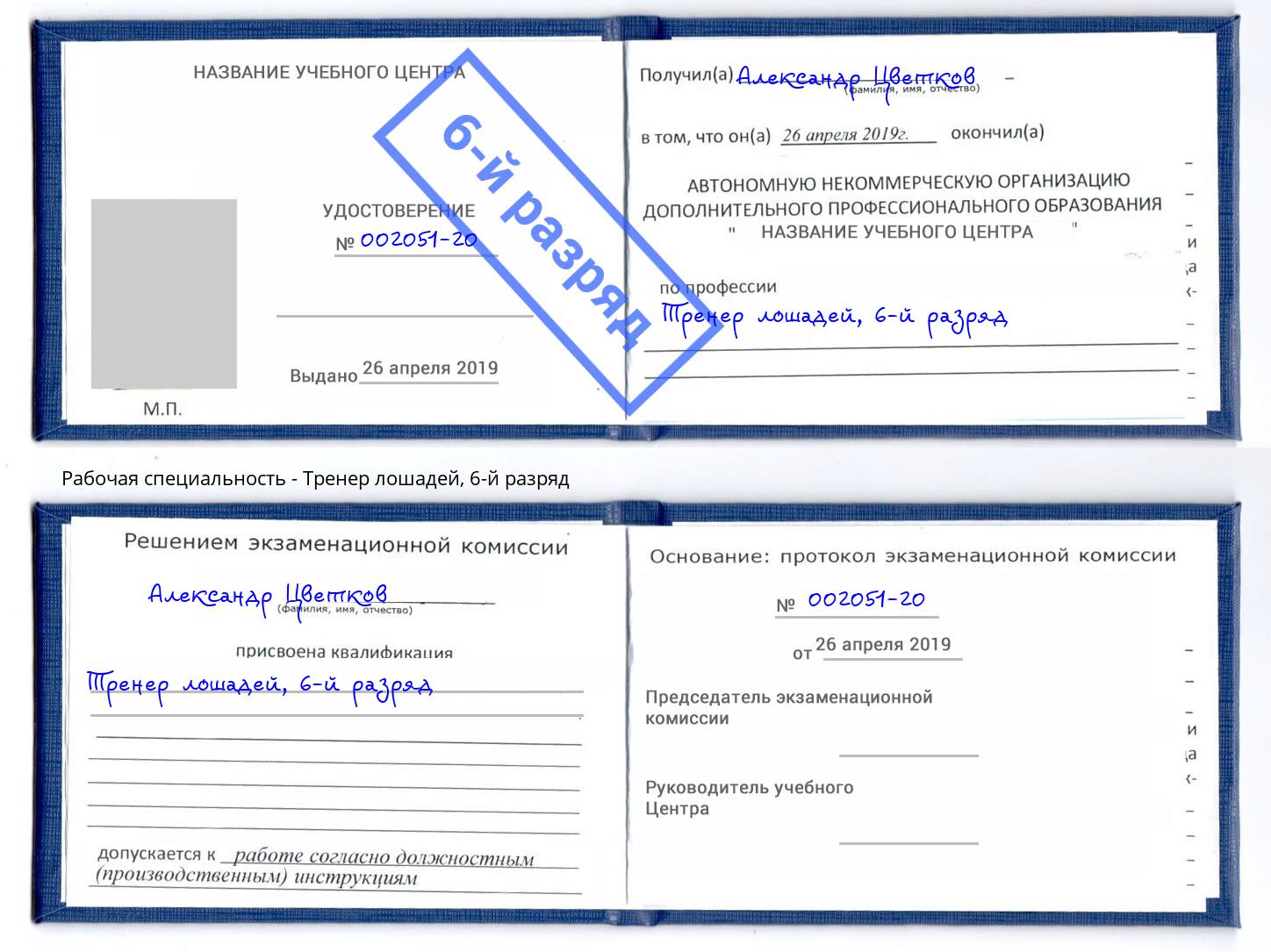 корочка 6-й разряд Тренер лошадей Нижний Тагил