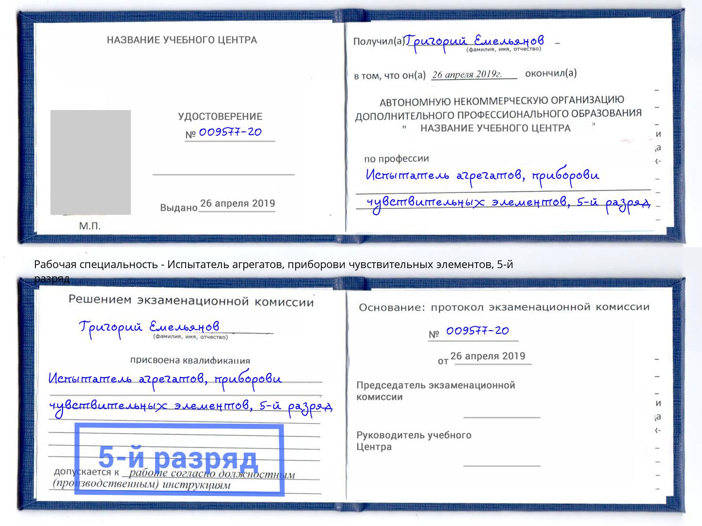 корочка 5-й разряд Испытатель агрегатов, приборови чувствительных элементов Нижний Тагил