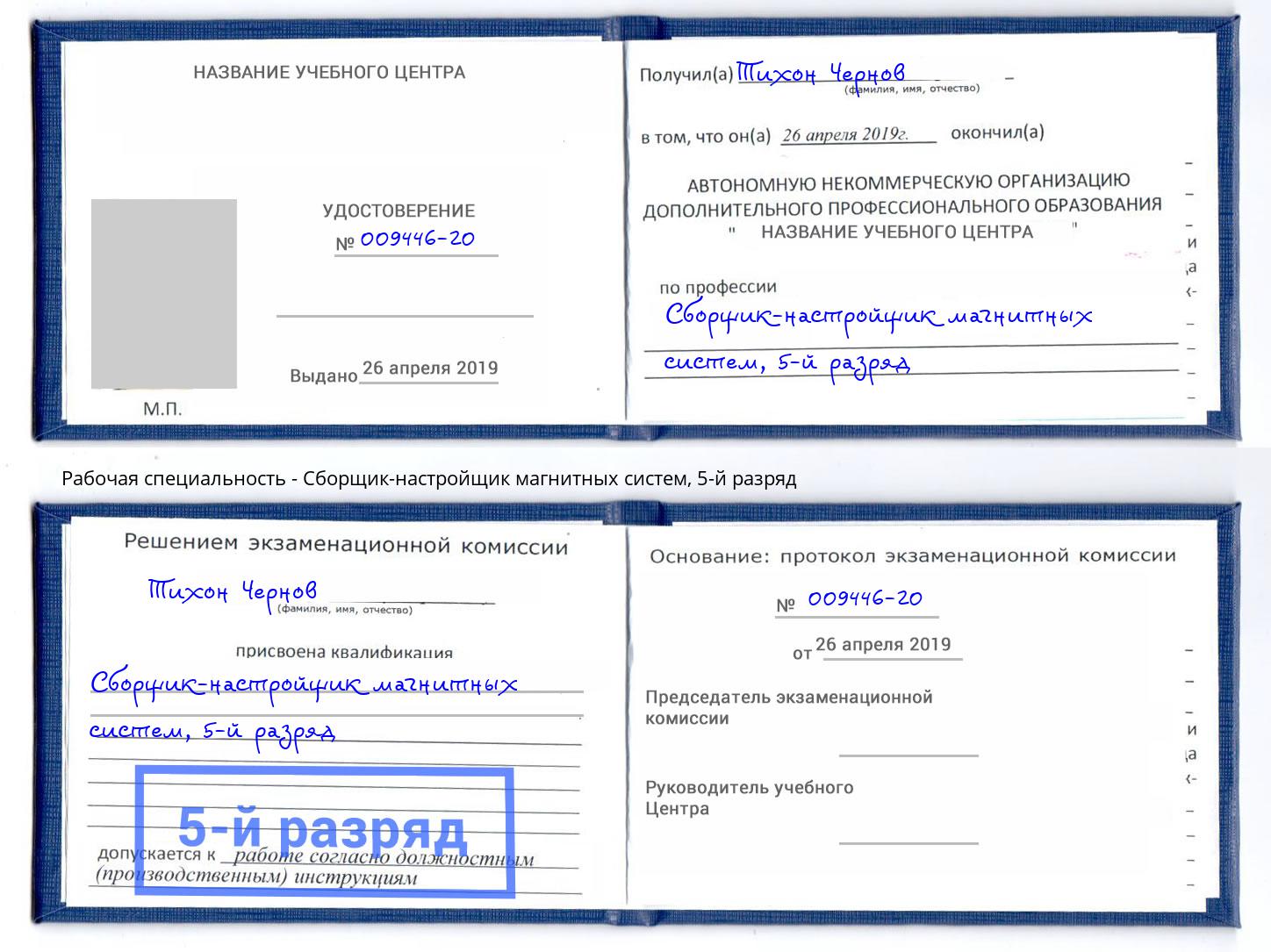 корочка 5-й разряд Сборщик-настройщик магнитных систем Нижний Тагил